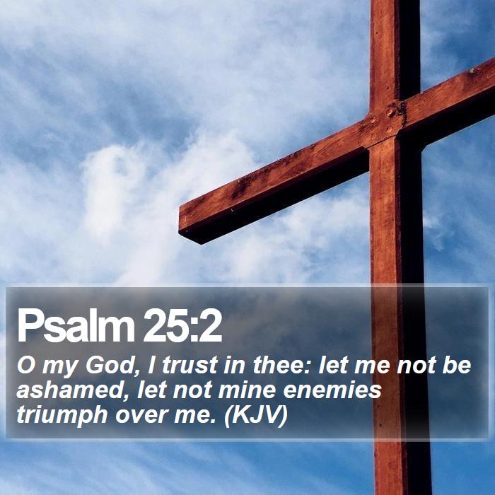 Psalm 25:2 - O my God, I trust in thee: let me not be ashamed, let not mine enemies triumph over me. (KJV)

