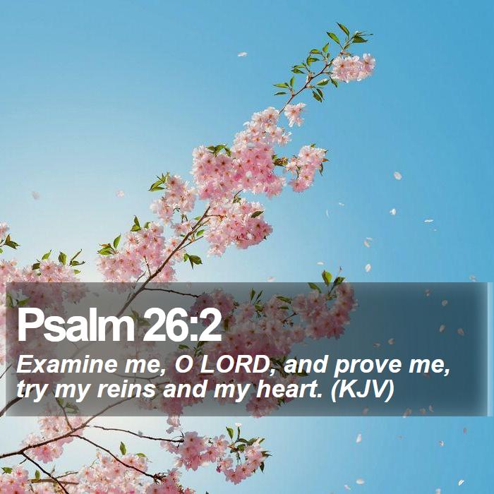 Psalm 26:2 - Examine me, O LORD, and prove me, try my reins and my heart. (KJV)
