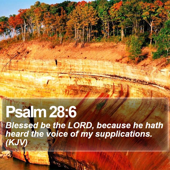 Psalm 28:6 - Blessed be the LORD, because he hath heard the voice of my supplications. (KJV)
