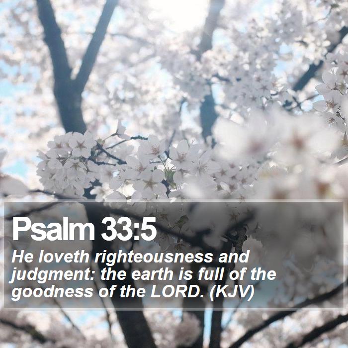 Psalm 33:5 - He loveth righteousness and judgment: the earth is full of the goodness of the LORD. (KJV)

