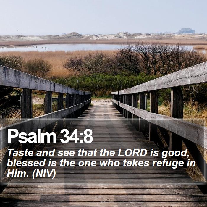 Psalm 34:8 - Taste and see that the LORD is good, blessed is the one who takes refuge in Him. (NIV)
