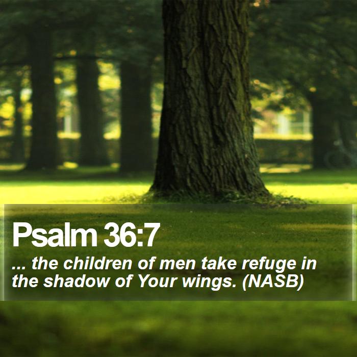 Psalm 36:7 - ... the children of men take refuge in the shadow of Your wings. (NASB)
