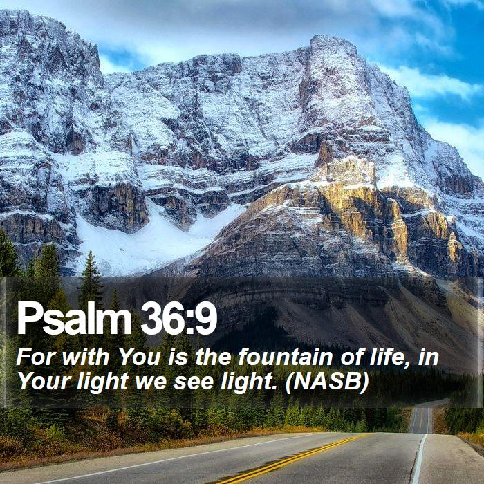Psalm 36:9 - For with You is the fountain of life, in Your light we see light. (NASB)
