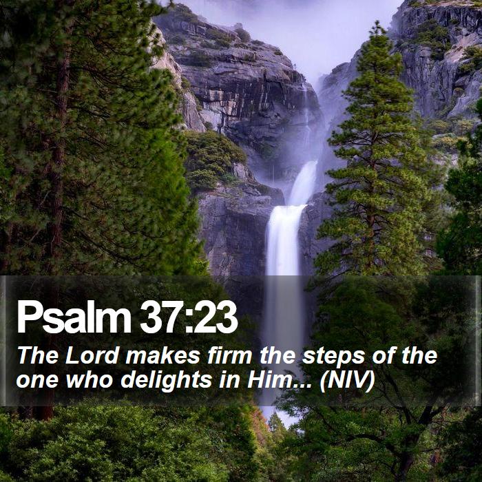 Psalm 37:23 - The Lord makes firm the steps of the one who delights in Him... (NIV)
