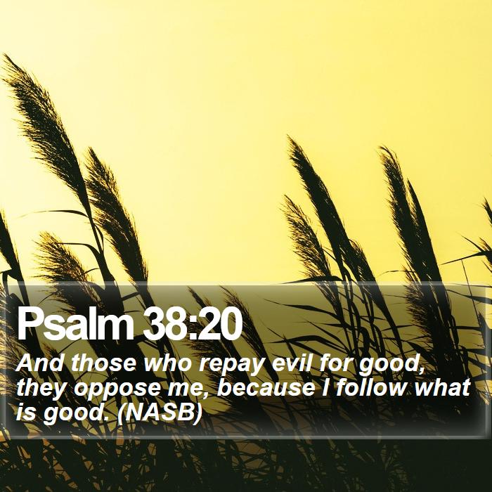 Psalm 38:20 - And those who repay evil for good, they oppose me, because I follow what is good. (NASB)

