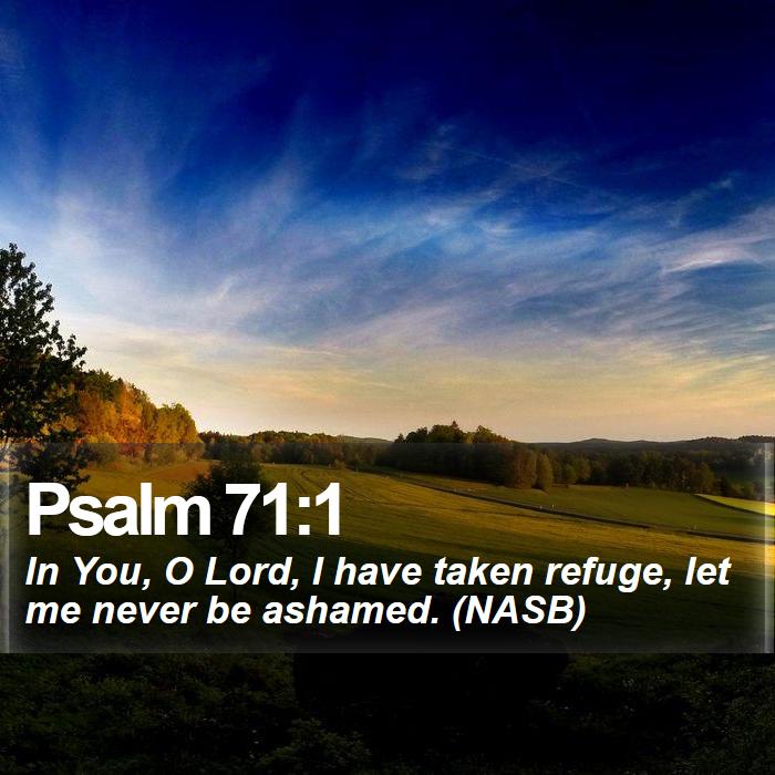 Psalm 71:1 - In You, O Lord, I have taken refuge, let me never be ashamed. (NASB)
