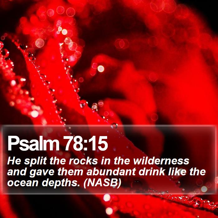 Psalm 78:15 - He split the rocks in the wilderness and gave them abundant drink like the ocean depths. (NASB)

