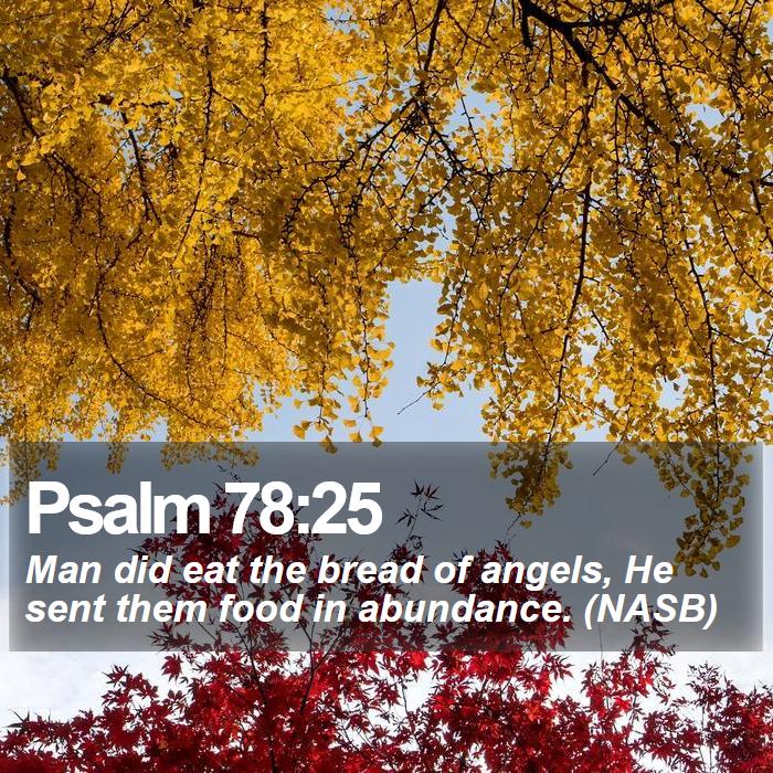 Psalm 78:25 - Man did eat the bread of angels, He sent them food in abundance. (NASB)
