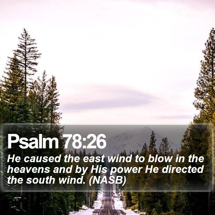 Psalm 78:26 - He caused the east wind to blow in the heavens and by His power He directed the south wind. (NASB)
