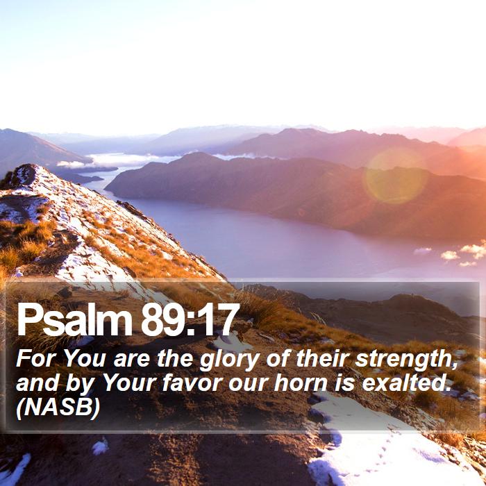 Psalm 89:17 - For You are the glory of their strength, and by Your favor our horn is exalted. (NASB)
