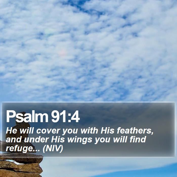 Psalm 91:4 - He will cover you with His feathers, and under His wings you will find refuge... (NIV)
