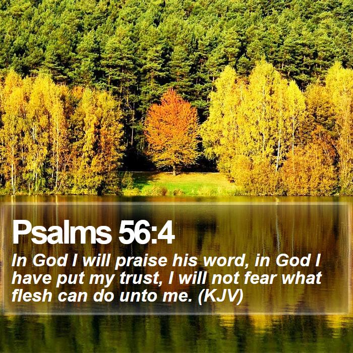Psalms 56:4 - In God I will praise his word, in God I have put my trust, I will not fear what flesh can do unto me. (KJV)
