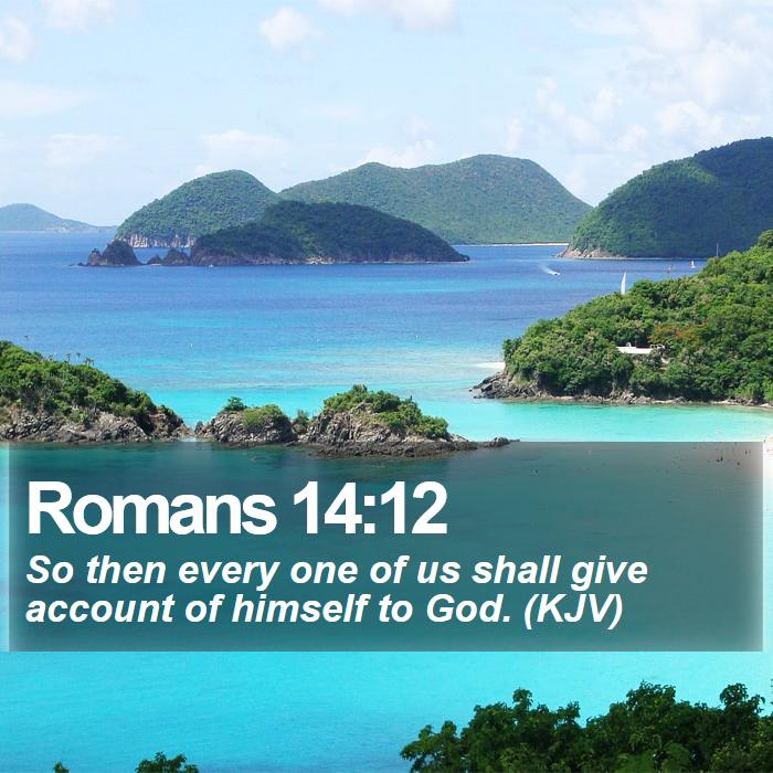 Romans 14:12 - So then every one of us shall give account of himself to God. (KJV)
