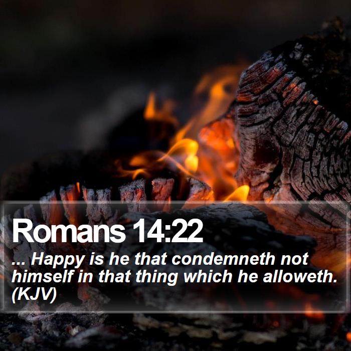 Romans 14:22 - ... Happy is he that condemneth not himself in that thing which he alloweth. (KJV)
