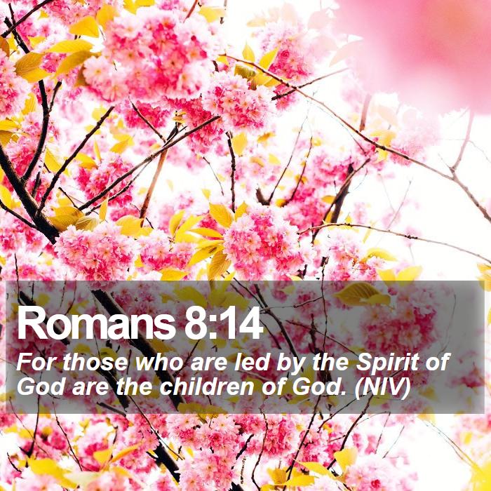 Romans 8:14 - For those who are led by the Spirit of God are the children of God. (NIV)
